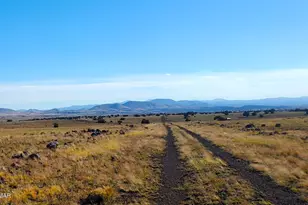 Tbd Cr 5134, Concho Valley, AZ 85924 - Photo 1