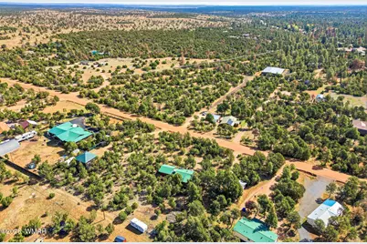 3650 Buckskin Road, Overgaard, AZ 85933 - Photo 31