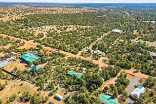 3650 Buckskin Rd, Overgaard, AZ 85933 - Photo 31