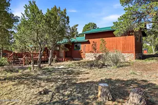 3650 Buckskin Rd, Overgaard, AZ 85933 - Photo 5
