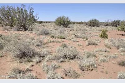 29B N9005, Concho, AZ 85924 - Photo 5