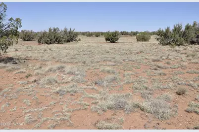 29B N9005, Concho, AZ 85924 - Photo 9