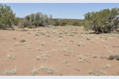 29A Cr N9080, Concho, AZ 85924 - Photo 11