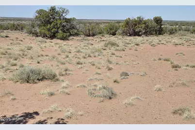 29A Cr N9080, Concho, AZ 85924 - Photo 9