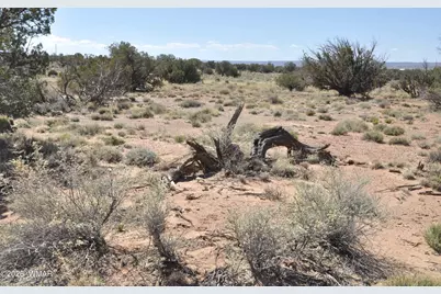 29A Cr N9080, Concho, AZ 85924 - Photo 15