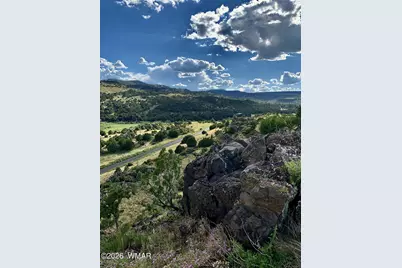 16 County Road N4035, Greer, AZ 85927 - Photo 47