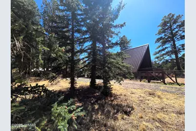 16 County Road N4035, Greer, AZ 85927 - Photo 1