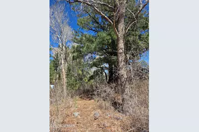 16 County Road N4035, Greer, AZ 85927 - Photo 43