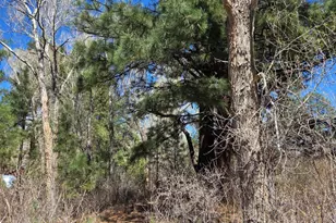 16 County Road N4035, Greer, AZ 85927 - Photo 43