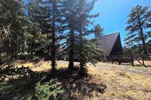 16 County Road N4035, Greer, AZ 85927 - Photo 3
