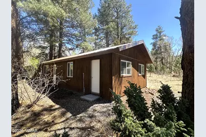 16 County Road N4035, Greer, AZ 85927 - Photo 39