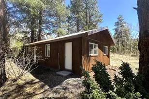 16 County Road N4035, Greer, AZ 85927 - Photo 39