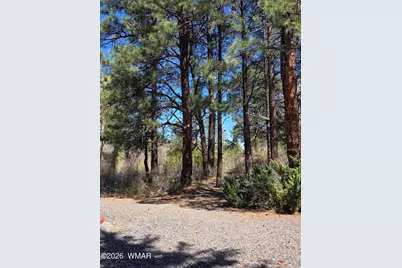 16 County Road N4035, Greer, AZ 85927 - Photo 47