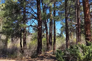 16 County Rd N4035, Greer, AZ 85927 - Photo 47