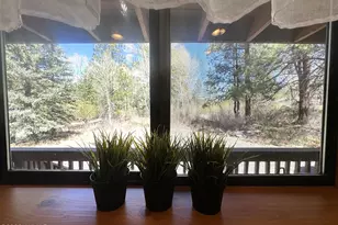 16 County Rd N4035, Greer, AZ 85927 - Photo 13