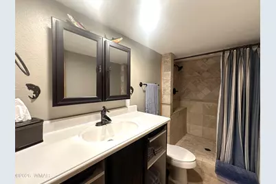 16 County Road N4035, Greer, AZ 85927 - Photo 19