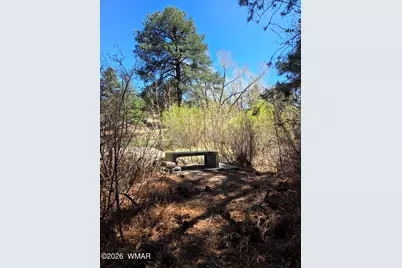 16 County Road N4035, Greer, AZ 85927 - Photo 35