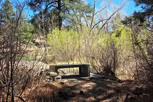 16 County Rd N4035, Greer, AZ 85927 - Photo 35