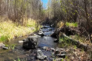 16 County Rd N4035, Greer, AZ 85927 - Photo 3