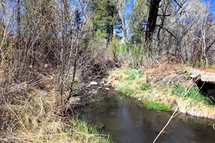 16 County Rd N4035, Greer, AZ 85927 - Photo 37