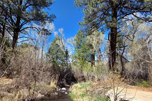 16 County Rd N4035, Greer, AZ 85927 - Photo 49