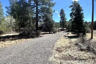 16 County Road N4035, Greer, AZ 85927 - Photo 41