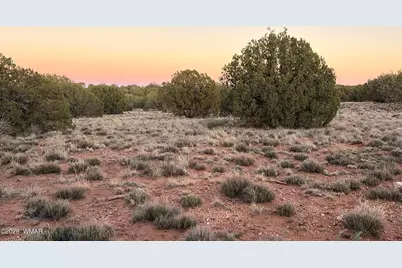 4427 Clydesdale Road, Snowflake, AZ 85937 - Photo 15