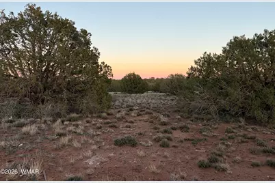 4427 Clydesdale Road, Snowflake, AZ 85937 - Photo 5