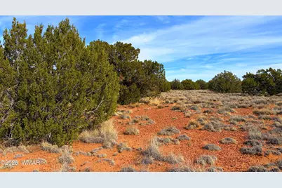 4039 Indian Bend Road, Snowflake, AZ 85937 - Photo 17