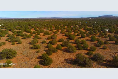 4039 Indian Bend Road, Snowflake, AZ 85937 - Photo 3