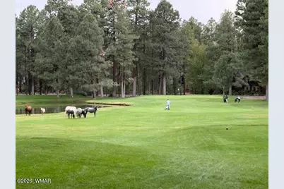 2614 Thunderbolt Circle, Pinetop, AZ 85935 - Photo 15