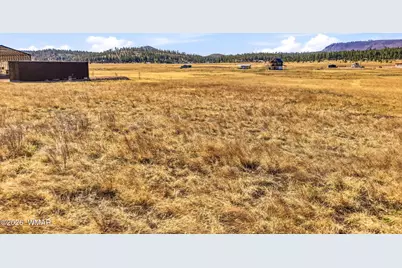 34 County Road 2100, Alpine, AZ 85920 - Photo 5