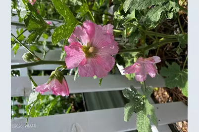 1015 Meadow, Show Low, AZ 85901 - Photo 27