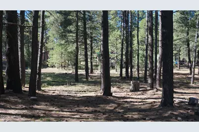 1667 Little Pine Trail, Forest Lakes, AZ 85931 - Photo 33
