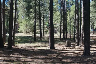 1667 Little Pine Trail, Forest Lakes, AZ 85931 - Photo 33