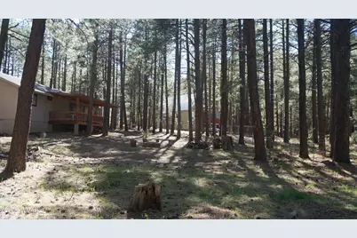 1667 Little Pine Trail, Forest Lakes, AZ 85931 - Photo 35
