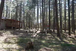 1667 Little Pine Trail, Forest Lakes, AZ 85931 - Photo 35