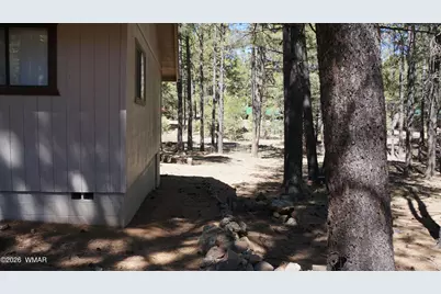 1667 Little Pine Trail, Forest Lakes, AZ 85931 - Photo 39