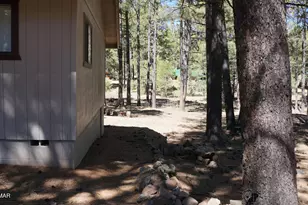 1667 Little Pine Trail, Forest Lakes, AZ 85931 - Photo 39