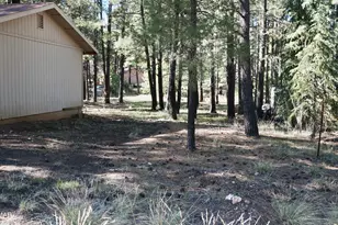 1667 Little Pine Trail, Forest Lakes, AZ 85931 - Photo 29
