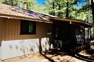 1667 Little Pine Trail, Forest Lakes, AZ 85931 - Photo 15