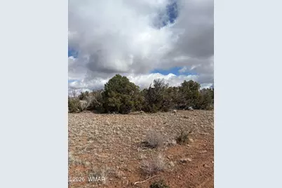 3C N8716, Concho, AZ 85924 - Photo 3