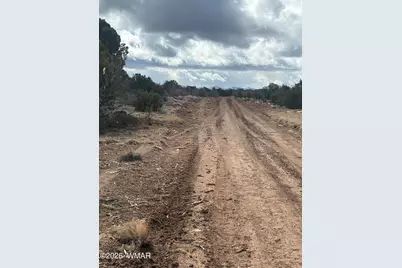 3C N8716, Concho, AZ 85924 - Photo 1