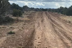 3C N8716, Concho, AZ 85924 - Photo 1