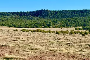 85 Co Road 8500 40 Acres, Concho, AZ 85924 - Photo 1