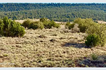 85 Co Road 8500 40 Acres, Concho, AZ 85924 - Photo 3