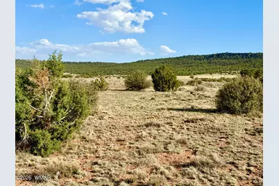 85 Co Road 8500 40 Acres, Concho, AZ 85924 - Photo 25
