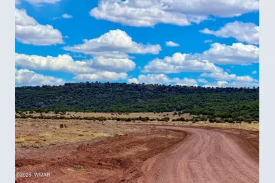 85 Co Road 8500 40 Acres, Concho, AZ 85924 - Photo 21