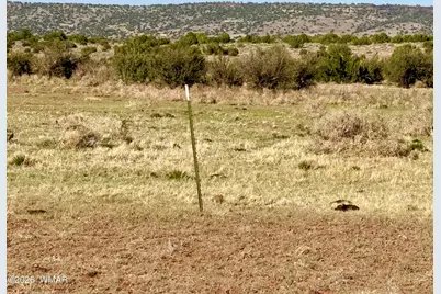 85 Co Road 8500 40 Acres, Concho, AZ 85924 - Photo 23