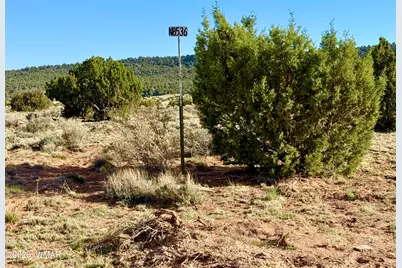 85 Co Road 8500 40 Acres, Concho, AZ 85924 - Photo 9